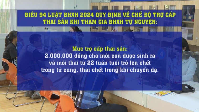 Lao động tự do được hưởng trợ cấp thai sản khi tham gia BHXH tự nguyện - Ảnh 3.