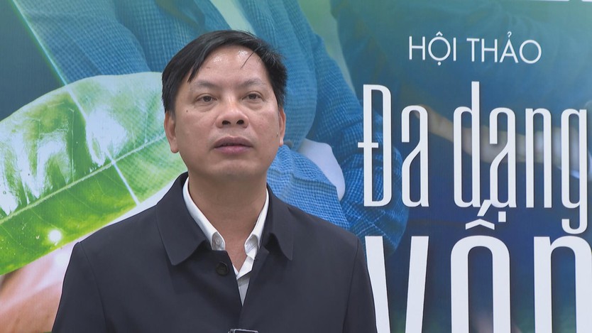Huy động 700 tỷ USD cho kinh tế xanh: Bài toán đa dạng hóa nguồn lực bền vững - Ảnh 3.
