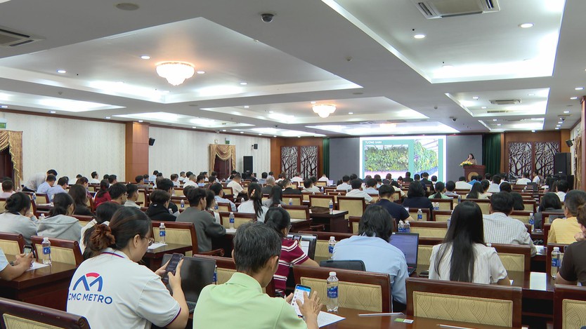 Giải pháp xanh giúp TP. Hồ Chí Minh trở thành đô thị đáng sống và bền vững - Ảnh 2.