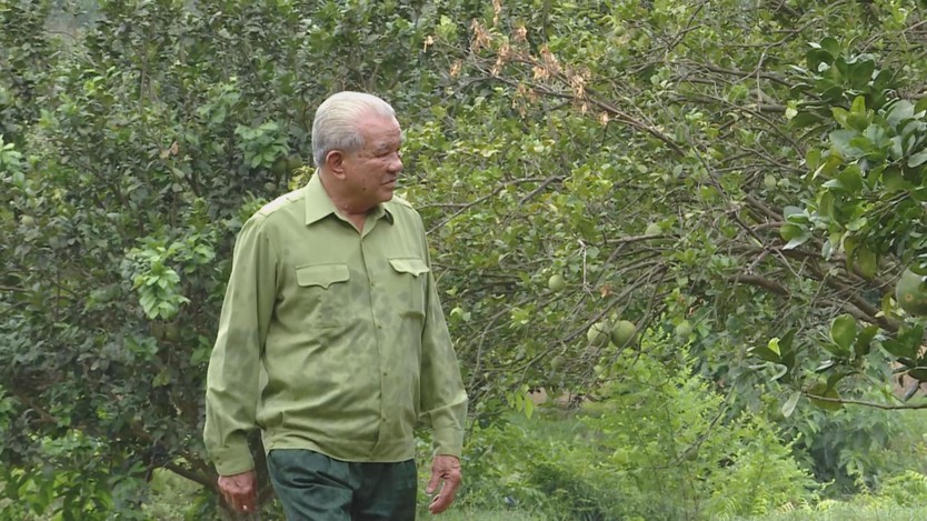 “Bộ đội Cụ Hồ” làm kinh tế, dựng xây cuộc sống mới trên quê hương- Ảnh 3.
