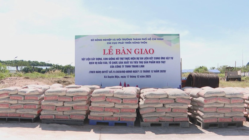 Vươn khơi - Ngày 22/12/2025 | TP. Hồ Chí Minh sẽ lập khu thương mại tự do Cái Mép Hạ - Ảnh 2.