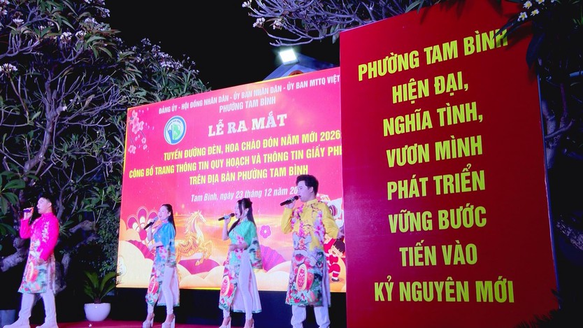 Phường Tam Bình rực rỡ đón năm mới với tuyến đường đèn hoa lung linh - Ảnh 3.