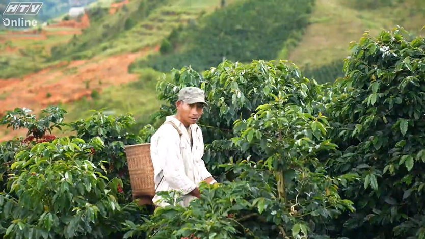 Việt Nam đi là ghiền - Mùa 4 - Tập 37: Từ đất đỏ cao nguyên đến tách cà phê mang hương núi rừng - Ảnh 1.
