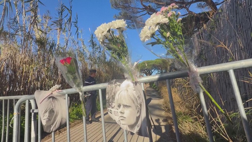 Nước Pháp tiếc thương huyền thoại Brigitte Bardot - Ảnh 2.