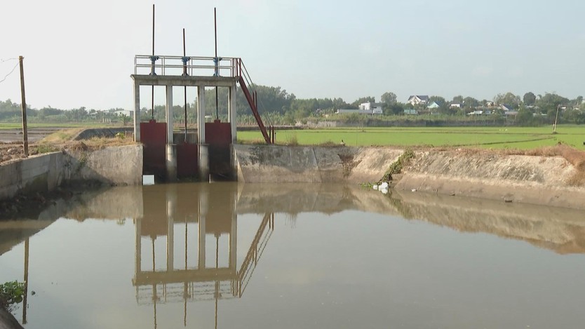 Nông dân TP. Hồ Chí Minh kỳ vọng mùa lúa Đông Xuân "được mùa, được giá" - Ảnh 4.