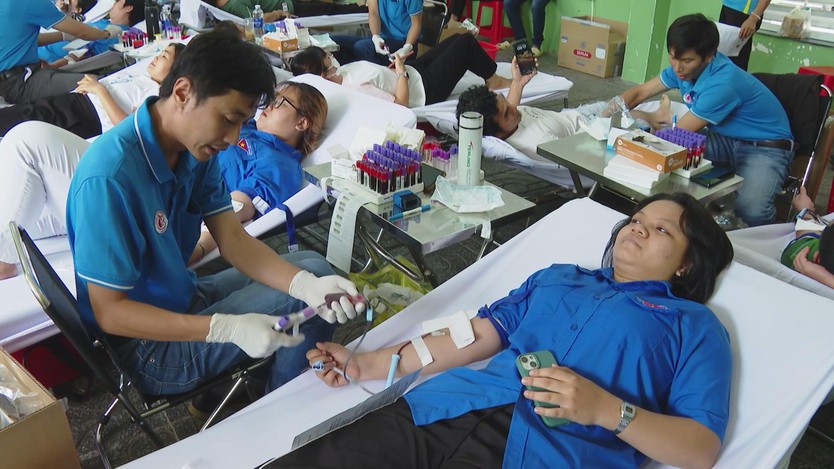 Vươn khơi - Ngày 4/12/2025 | Vườn Quốc gia Côn Đảo: Điểm sáng về bảo tồn thiên nhiên- Ảnh 3.