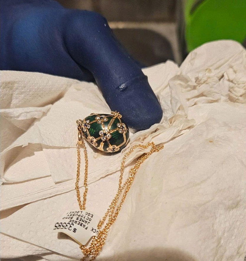 New Zealand: Tên trộm nuốt mặt dây chuyền Fabergé - Ảnh 2.