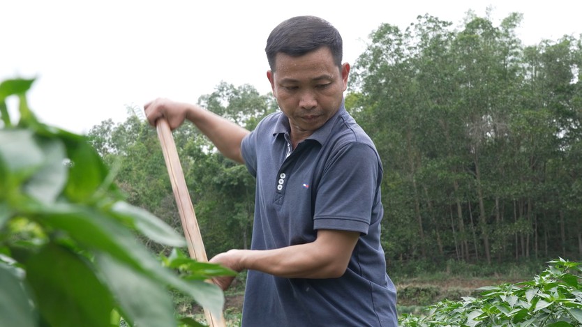 Chuyện cô bé 15 tuổi bổ củi, nhổ cỏ ngô, tưới ớt- Ảnh 1.