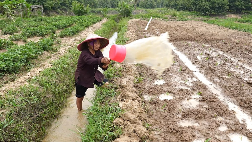Bà ngoại U80 gồng gánh nuôi con tâm thần và cháu mồ côi - Ảnh 2.