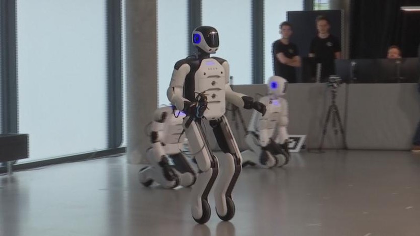 Robot hình người giải quyết tình trạng thiếu hụt lao động - Ảnh 2.