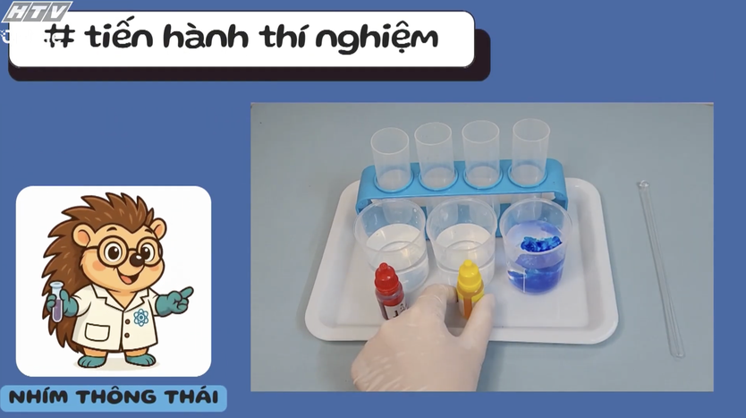 Vẽ Phố cổ Hội An- Ảnh 3.