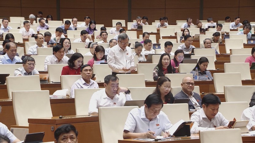 Quốc hội thảo luận dự án Luật Tình trạng khẩn cấp - Ảnh 1.