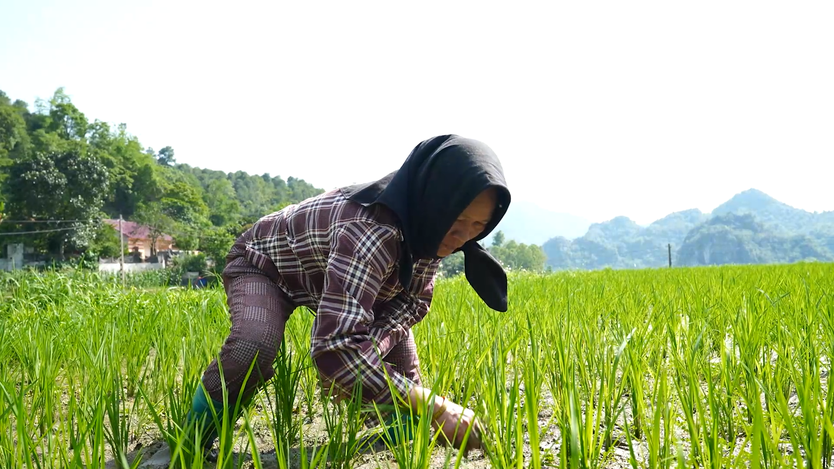 Nỗi nhớ nghẹn ngào: Lành Duy Quang gọi điện cho người cha đã mất - Mái ấm gia đình Việt - Ảnh 7.