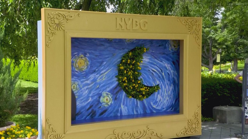 18.000 hoa hướng dương trang trí triển lãm "Những đóa hoa của Van Gogh"- Ảnh 2.