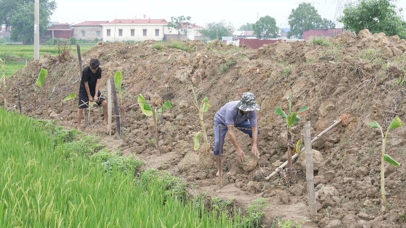 Vi Quốc Việt: Cậu bé Nùng mồ côi mẹ và ước mơ học công nghệ thông tin - Ảnh 6.