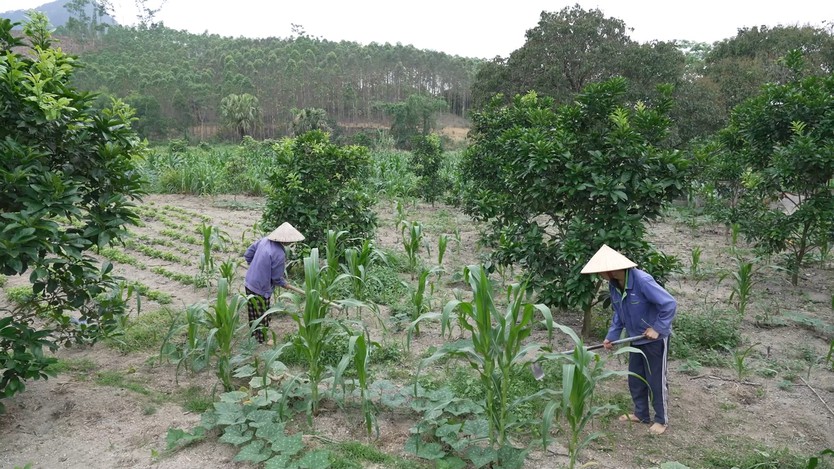 Cha mất, mẹ ốm nặng, em Nguyễn Danh Tuấn nỗ lực vượt qua nghịch cảnh - Ảnh 4.