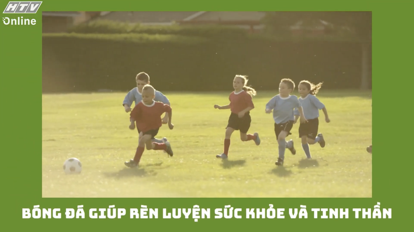 Khám phá thế giới sân cỏ kỳ thú - Ảnh 3.