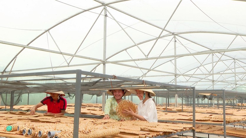 Nâng cao sinh kế cho làng nghề đan lát các sản phẩm từ lục bình  - Ảnh 2.