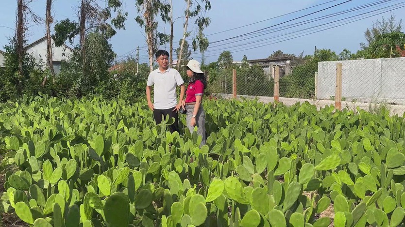 Trở về từ phố thị: Người trẻ Đắk Lắk viết lại câu chuyện khởi nghiệp trên quê hương - Ảnh 5.