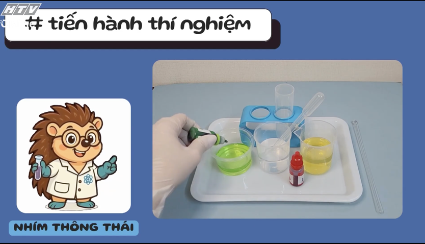   Khám phá thế giới bóng rổ đầy năng động  - Ảnh 1.