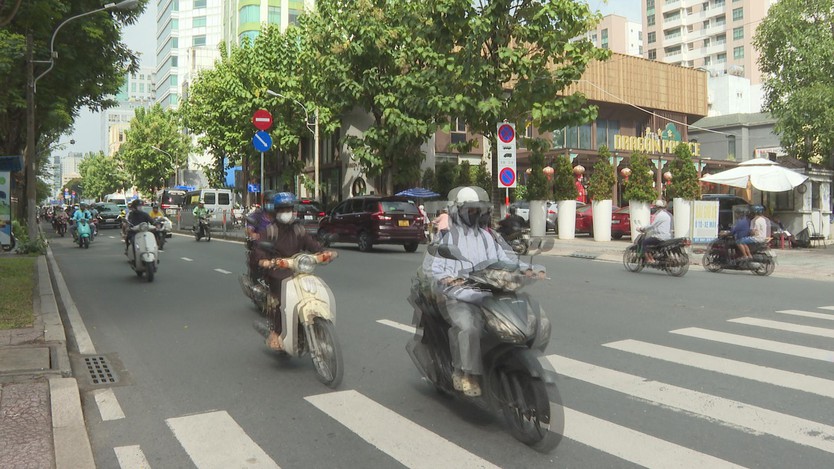 TP.HCM quyết liệt triển khai đề án chuyển đổi xe điện: Xanh hóa giao thông, vì sức khỏe cộng đồng- Ảnh 1.