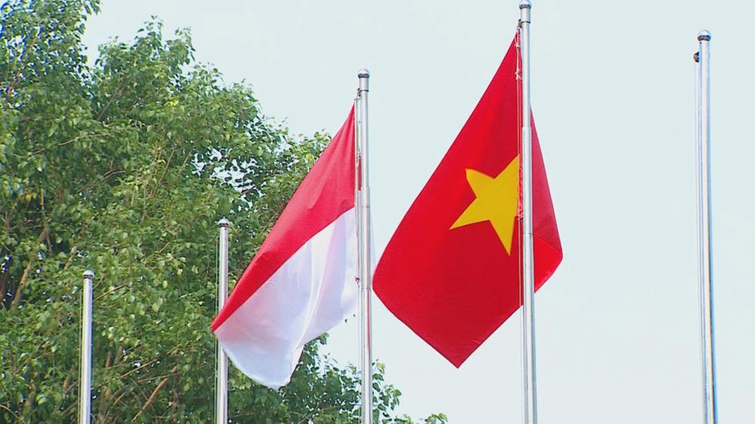 Tăng cường hợp tác quốc phòng Việt Nam – Indonesia- Ảnh 1.