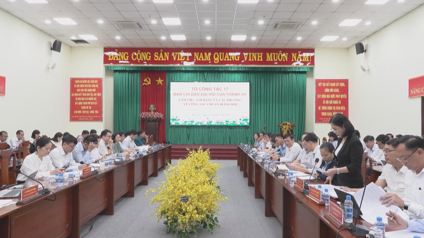 Tổ công tác 17 làm việc với Đảng ủy 6 phường về công tác chuẩn bị Đại hội Đảng bộ - Ảnh 1.