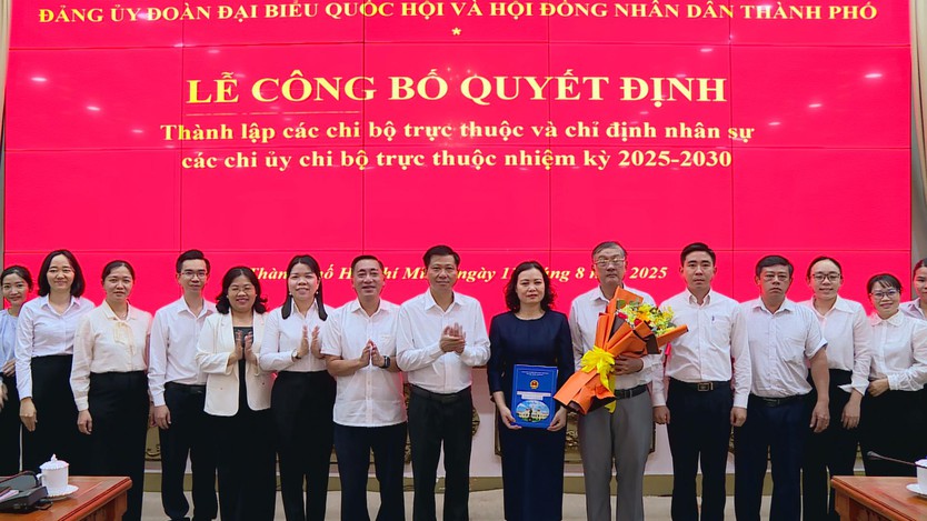 Đảng ủy Đoàn ĐBQH và HĐND TP.HCM thành lập 6 chi bộ - Ảnh 1.
