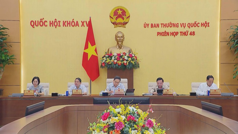 Ủy ban Thường vụ Quốc hội cho ý kiến về dự thảo Luật Tình trạng khẩn cấp và 4 dự thảo luật liên quan - Ảnh 2.