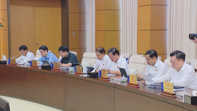 Ủy ban Thường vụ Quốc hội cho ý kiến về dự thảo Luật Tình trạng khẩn cấp và 4 dự thảo luật liên quan - Ảnh 4.
