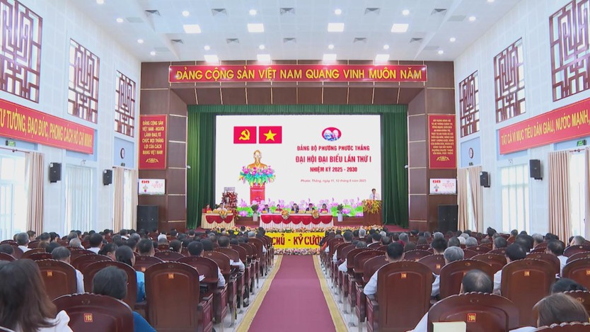 Tăng cường phát triển thương mại – dịch vụ và chỉnh trang đô thị tại phường Phước Thắng- Ảnh 3.
