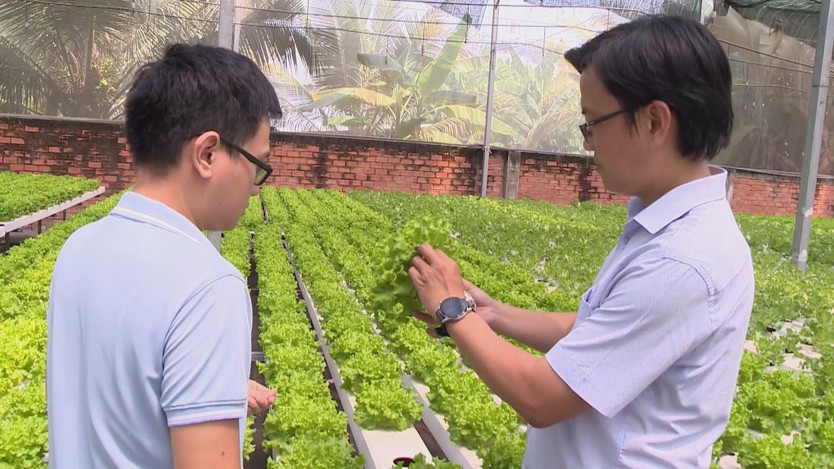 Nghị định 156: Đòn bẩy vốn giúp hợp tác xã mở rộng sản xuất và nâng giá trị nông sản- Ảnh 1.