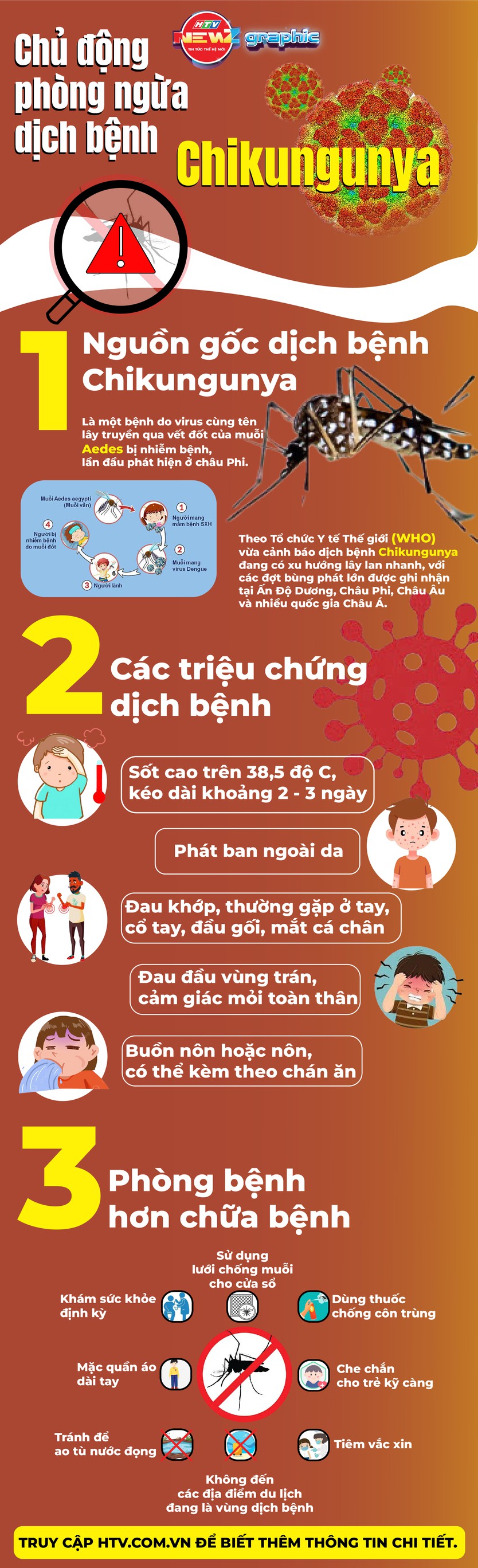 NewZgraphic: Dịch bệnh Chikungunya - Gánh nặng vô hình cho cộng đồng - Ảnh 1.