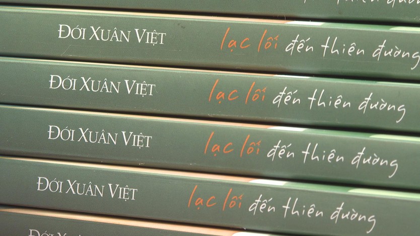 SHCT: “Lạc lối đến thiên đường”: Bản tình ca bi tráng giữa mùa hè đỏ lửa - Ảnh 1.