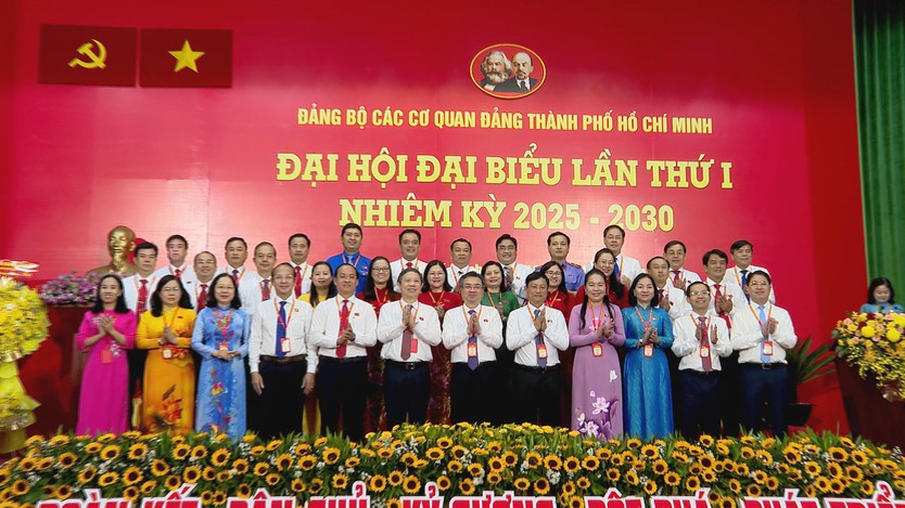 Đảng bộ các Cơ quan Đảng TP.HCM tiên phong, đi đầu trong triển khai thực hiện nhiệm vụ chính trị của TP.HCM - Ảnh 2.