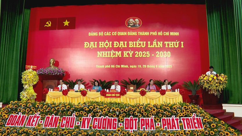 Đảng bộ các Cơ quan Đảng TP.HCM tiên phong, đi đầu trong triển khai thực hiện nhiệm vụ chính trị của TP.HCM - Ảnh 1.
