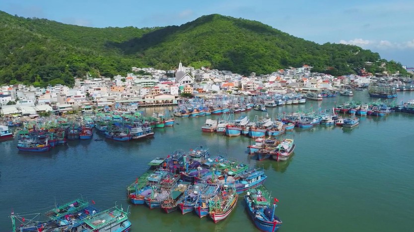 TP.HCM đẩy mạnh số hóa, siết chặt quản lý để gỡ “thẻ vàng” thủy sản - Ảnh 1.