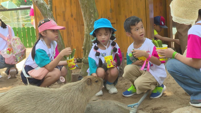 Thảo Cầm Viên Sài Gòn tổ chức nhiều hoạt động đặc sắc kỷ niệm 80 năm Quốc khánh 2/9 - Ảnh 4.
