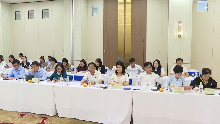 Hội thảo lấy ý kiến về Dự án Luật Bảo hiểm tiền gửi (sửa đổi) - Ảnh 3.