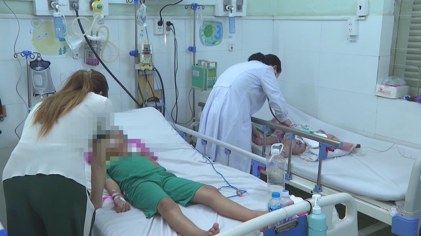 TP.HCM phát động chiến dịch phòng, chống sốt xuất huyết và Chikungunya- Ảnh 14.