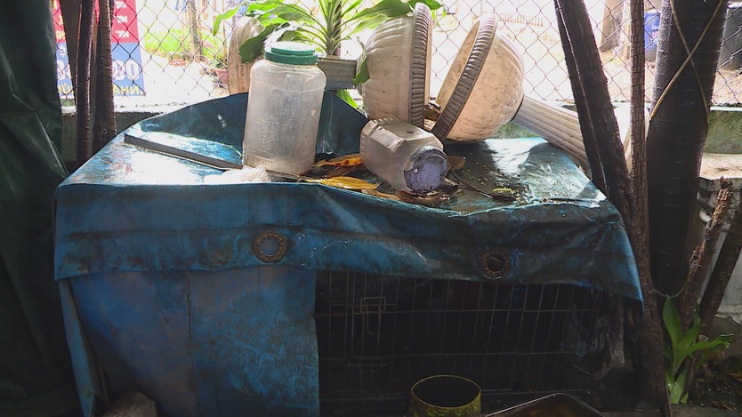 TP.HCM phát động chiến dịch phòng, chống sốt xuất huyết và Chikungunya- Ảnh 6.