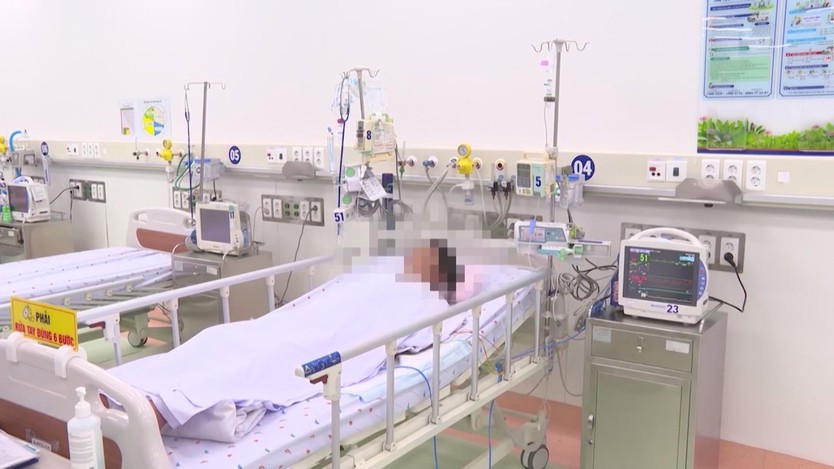 TP.HCM phát động chiến dịch phòng, chống sốt xuất huyết và Chikungunya- Ảnh 8.