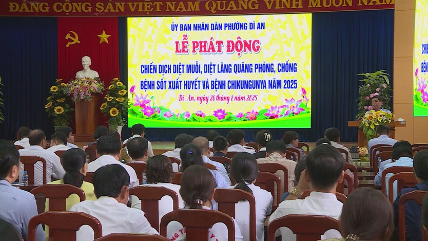 TP.HCM phát động chiến dịch phòng, chống sốt xuất huyết và Chikungunya- Ảnh 1.