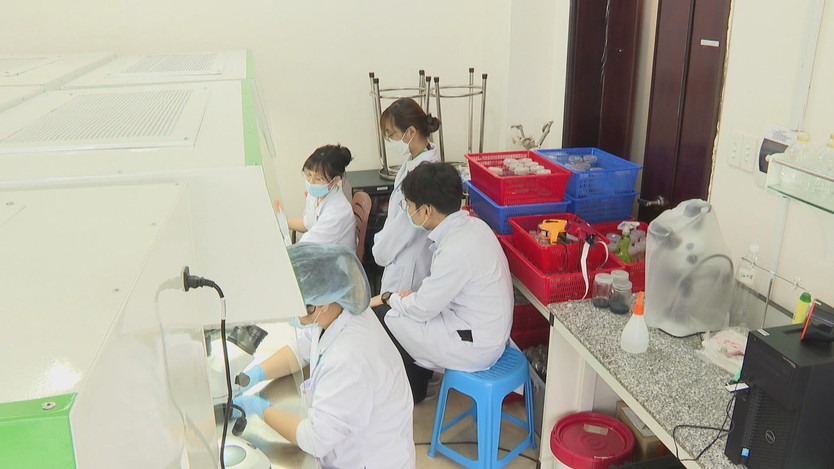 Các nhà khoa học nữ Việt Nam khám phá tiềm năng trong kỷ nguyên khoa học hiện đại- Ảnh 12.