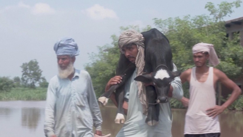 Pakistan: Ít nhất 17 người thiệt mạng do lũ lụt- Ảnh 2.