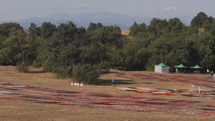 Triển lãm các tấm thảm cổ của Bulgaria - Ảnh 3.