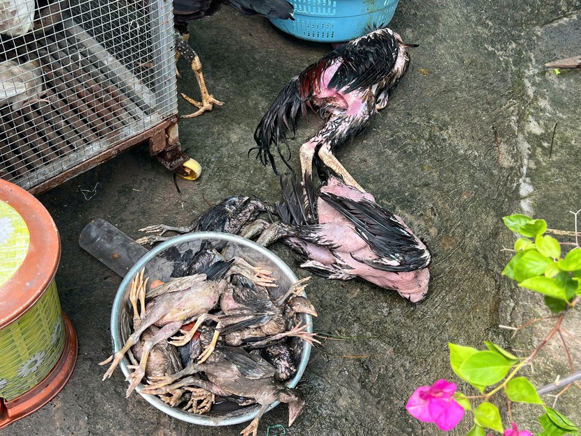 Ngập nhiều dãy trọ ở TP.HCM: 'Nước ào ào như lũ, tháo chạy trong đêm'- Ảnh 4.