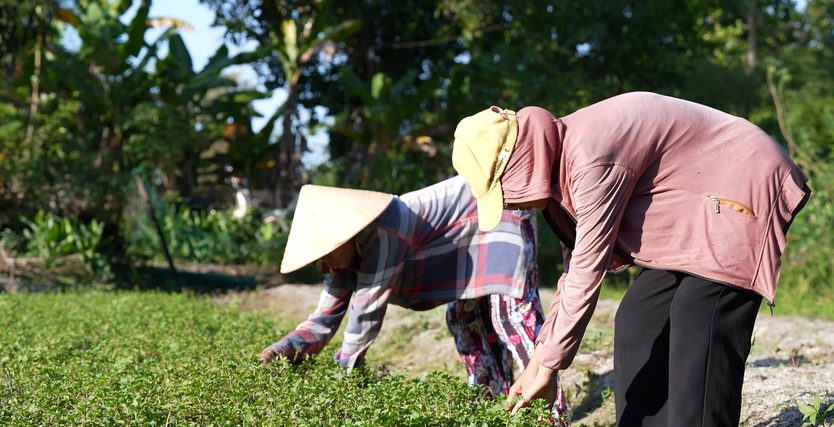 Yến Nhi muốn tặng áo hồng cho mẹ, mong cuộc sống tươi sáng hơn - Ảnh 6.