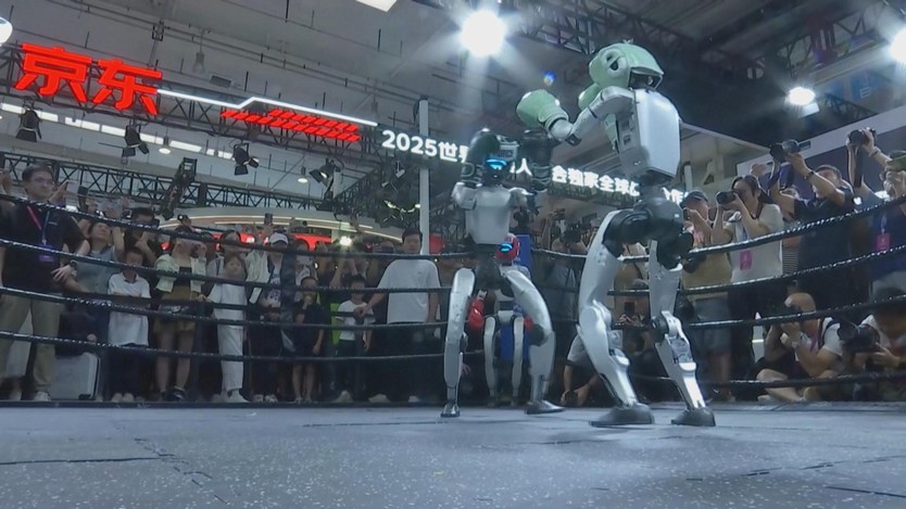 Triển lãm robot thế giới 2025 tại Trung Quốc - Ảnh 1.