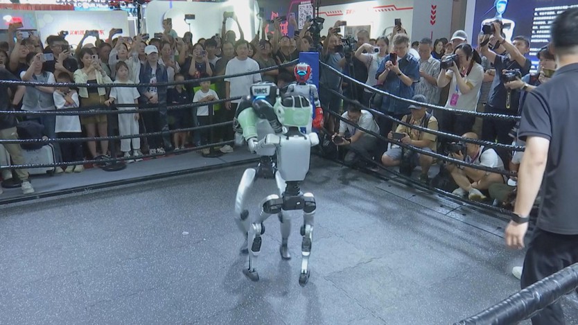 Triển lãm robot thế giới 2025 tại Trung Quốc - Ảnh 3.